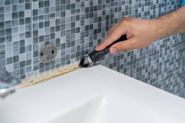 Professional Mold Remediation in Vincent, AL