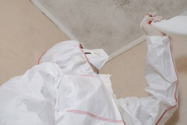 Best Crawl Space Mold Remediation in Vincent, AL