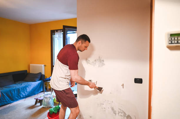 Best Emergency Mold Remediation in Vincent, AL